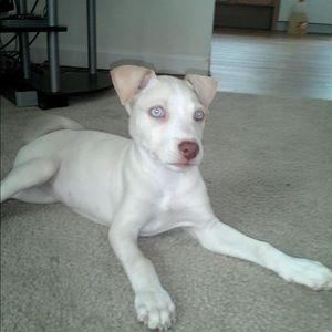 Meet your Posher, Bree